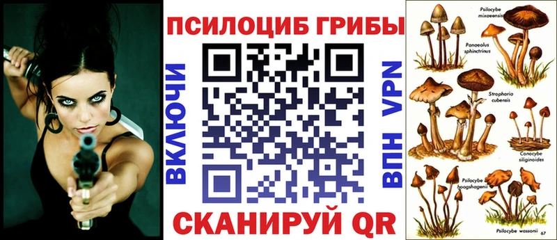 Галлюциногенные грибы Psilocybe  продажа наркотиков  MEGA ССЫЛКА  Судогда 